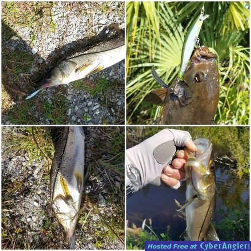 Click to Enlarge Photo