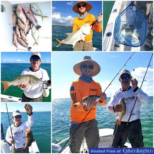 Click to Enlarge Photo