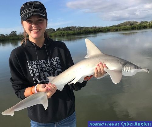 Click to Enlarge Photo