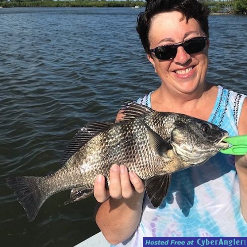 Click to Enlarge Photo