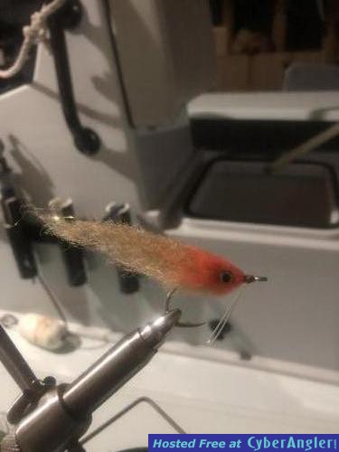 Click to Enlarge Photo