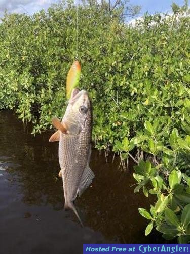 Click to Enlarge Photo