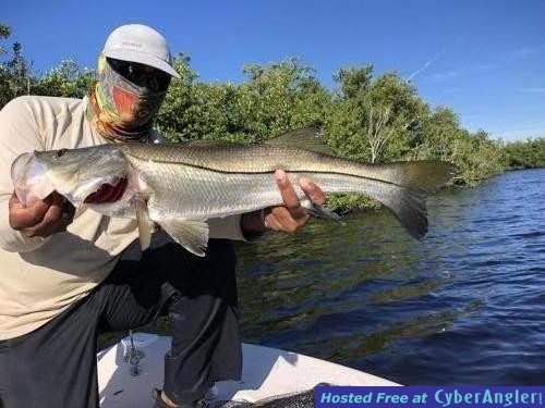 Click to Enlarge Photo