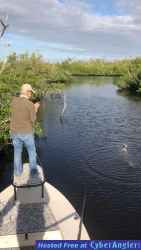 Click to Enlarge Photo