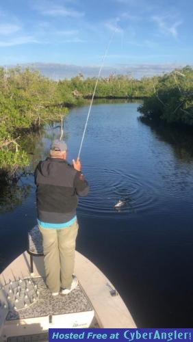 Click to Enlarge Photo