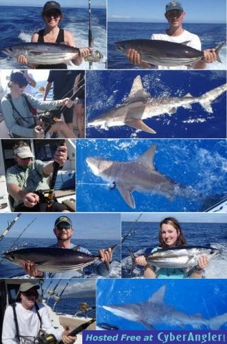 Click to Enlarge Photo