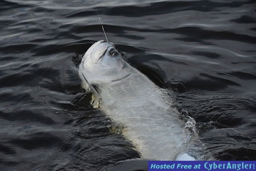 Click to Enlarge Photo