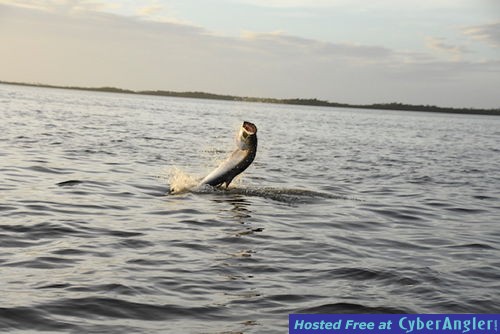 Click to Enlarge Photo