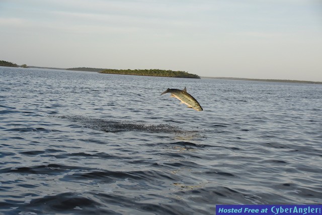 Click to Enlarge Photo