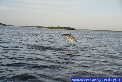 Click to Enlarge Photo