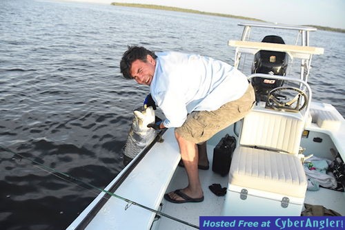 Click to Enlarge Photo