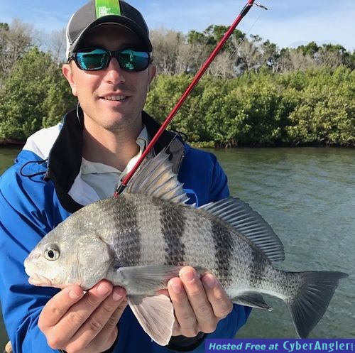 Click to Enlarge Photo