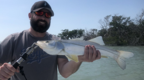 Click to Enlarge Photo