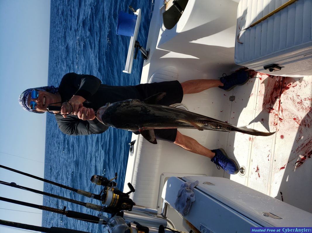 Click to Enlarge Photo