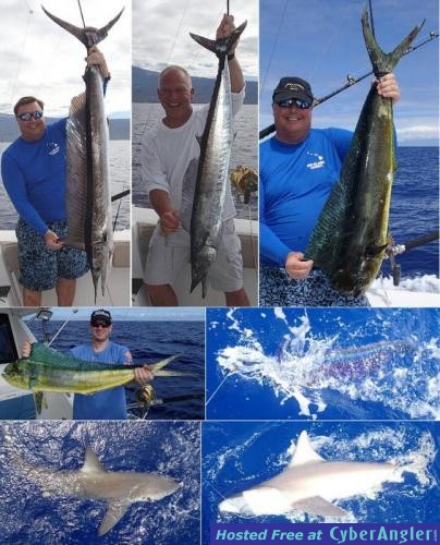 Click to Enlarge Photo