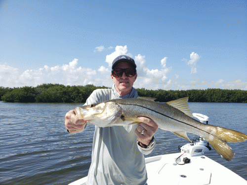 Click to Enlarge Photo