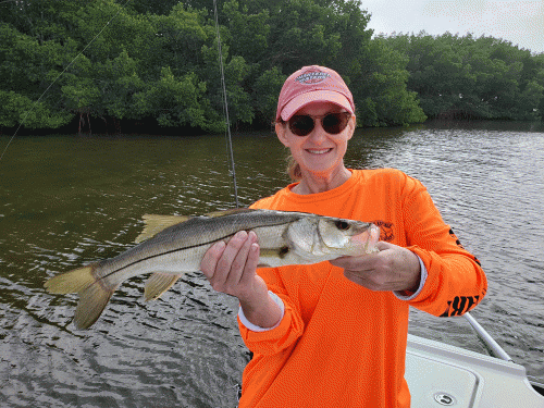 Click to Enlarge Photo