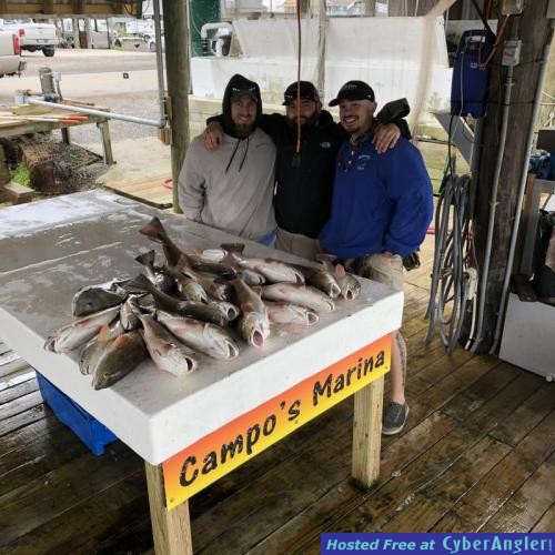 Click to Enlarge Photo