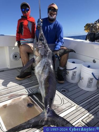 Click to Enlarge Photo