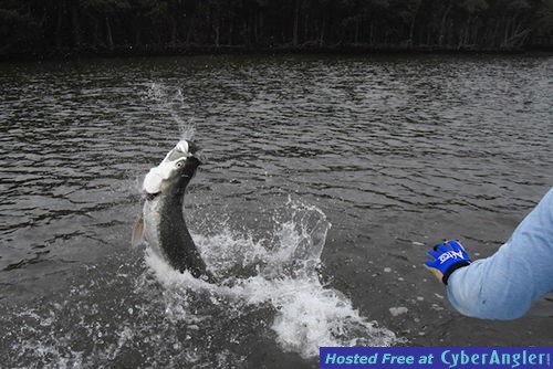 Click to Enlarge Photo