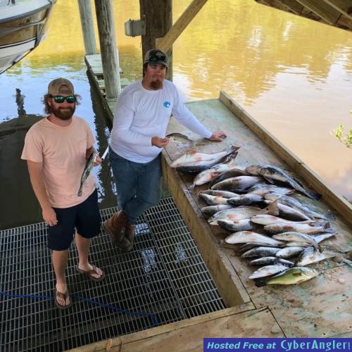 Click to Enlarge Photo