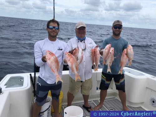 Click to Enlarge Photo