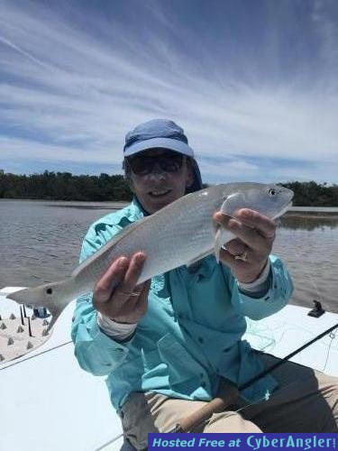 Click to Enlarge Photo