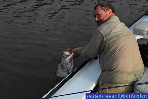 Click to Enlarge Photo