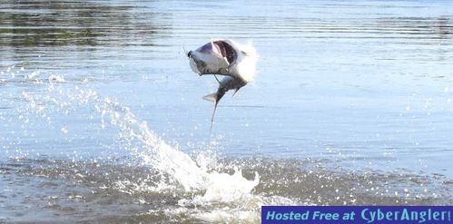 Click to Enlarge Photo