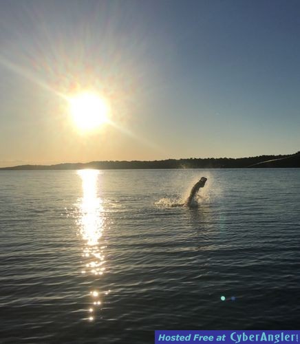 Click to Enlarge Photo