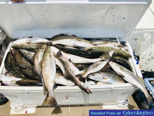 Click to Enlarge Photo