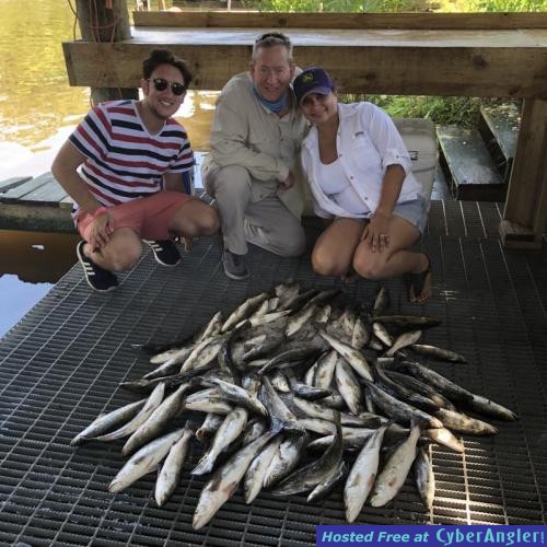 Click to Enlarge Photo