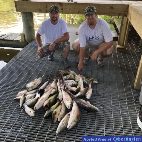 Click to Enlarge Photo