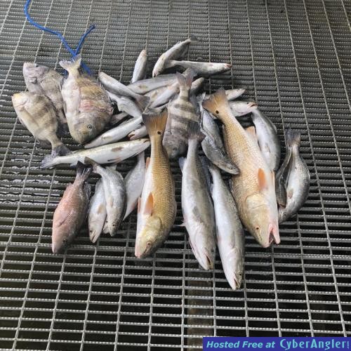 Click to Enlarge Photo