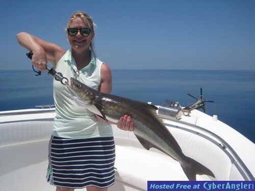 Click to Enlarge Photo