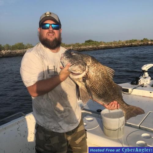 Click to Enlarge Photo