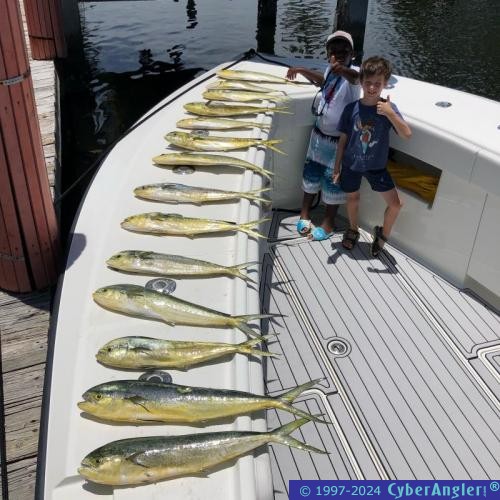 Click to Enlarge Photo