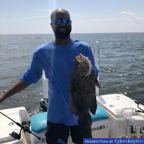 Click to Enlarge Photo