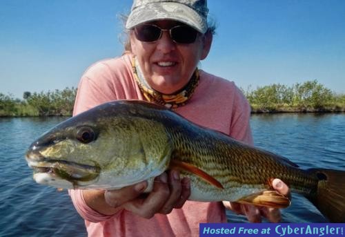 Click to Enlarge Photo