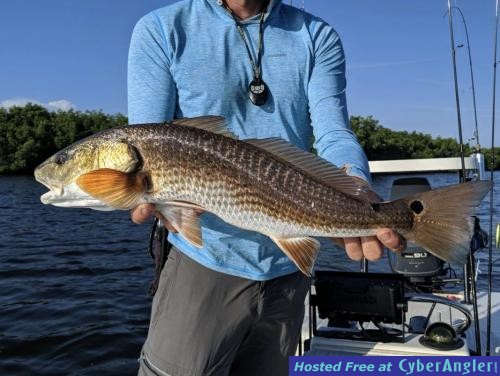 Click to Enlarge Photo