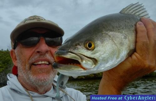 Click to Enlarge Photo