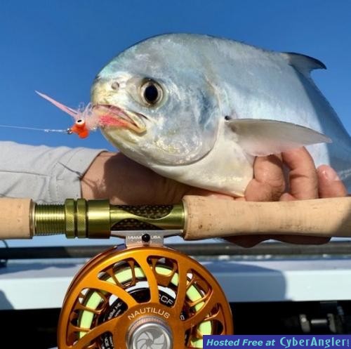 Click to Enlarge Photo