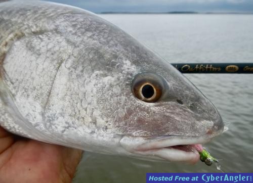 Click to Enlarge Photo