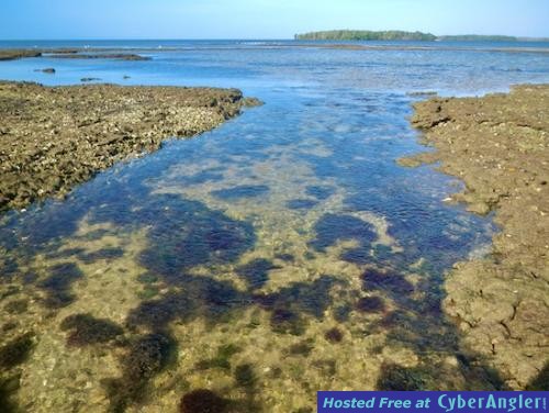 Click to Enlarge Photo