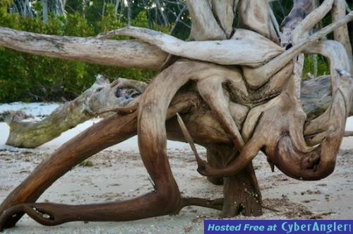 Click to Enlarge Photo