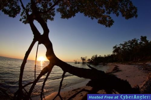 Click to Enlarge Photo