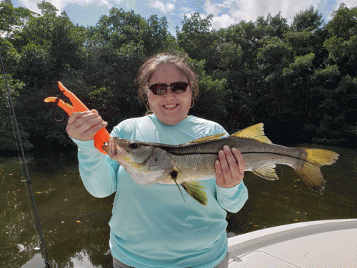 Click to Enlarge Photo