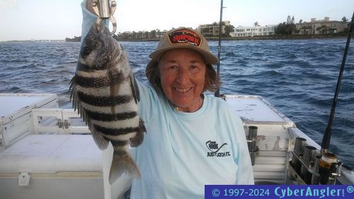 Click to Enlarge Photo