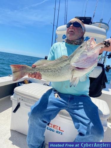 Click to Enlarge Photo