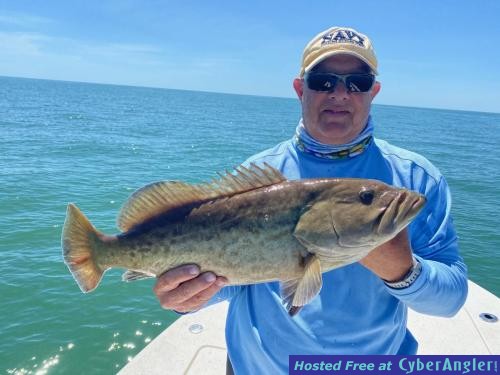 Click to Enlarge Photo